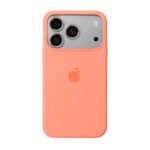 Thiki Silikonis iPhone 17 Pro Max - Korali
